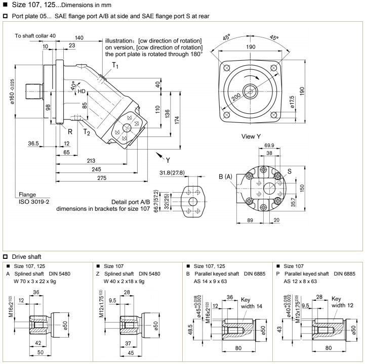 HD-A2FO Axial Piston Fixed Pump Ordering Code .jpg