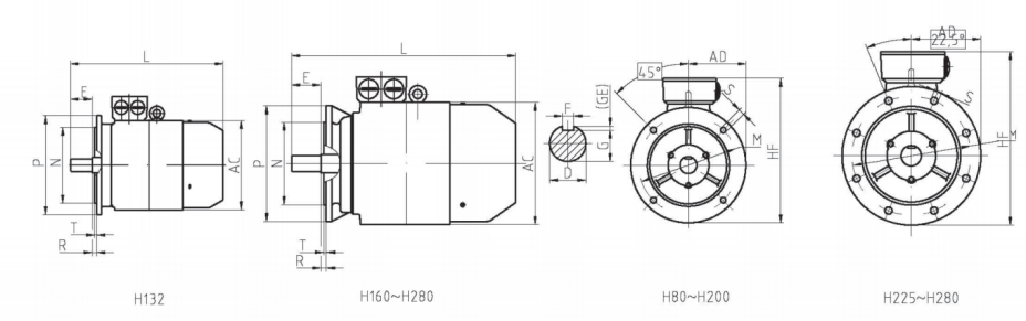 YE3 Series Super Ultra High Efficiency 3-Phase Asynchronous Motors 4.png