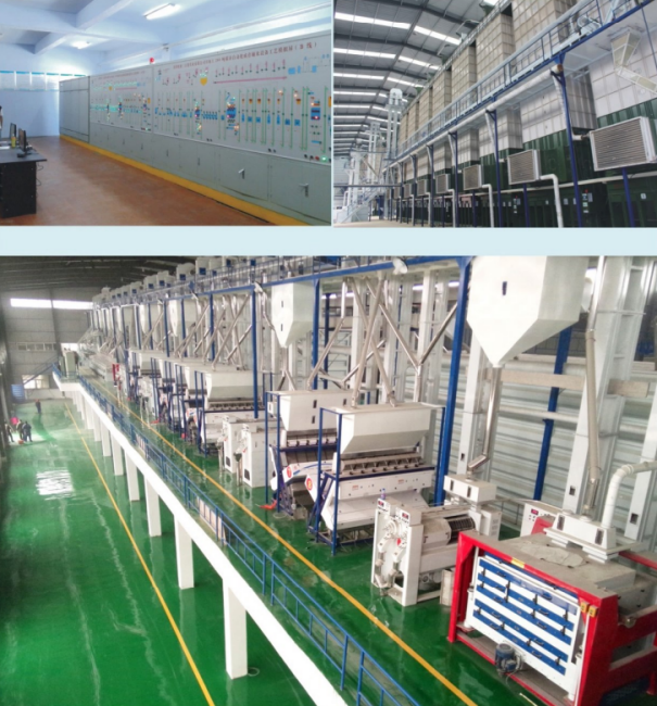 Anhui didingyuan 300TD complete set of automatic rice milling project.jpg
