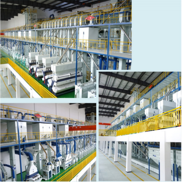 Hunan Changde Guangji rice industry 300 TD complete rice milling project.jpg