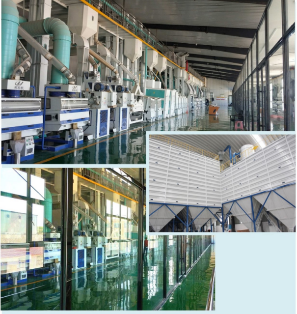 Jilin 400TD complete set of automatic rice milling project.jpg