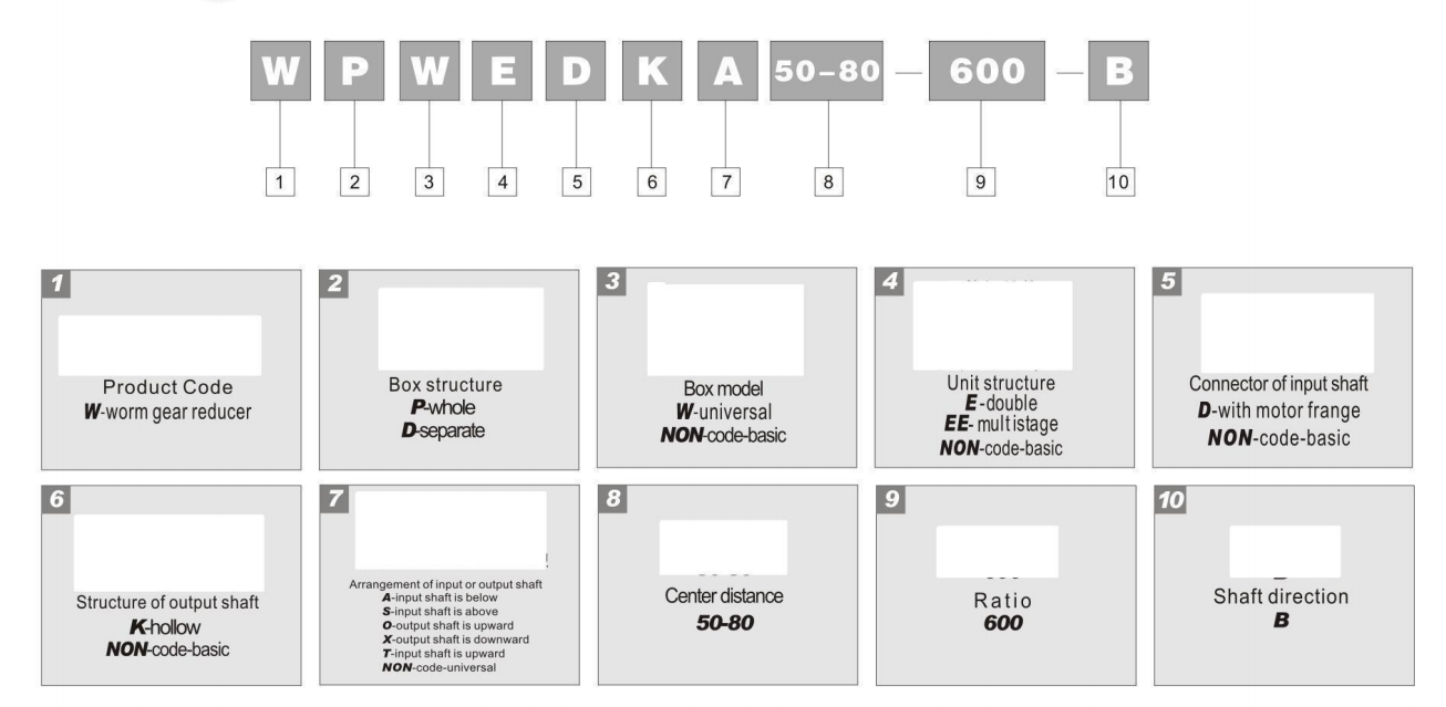 Model And Structure Table.png