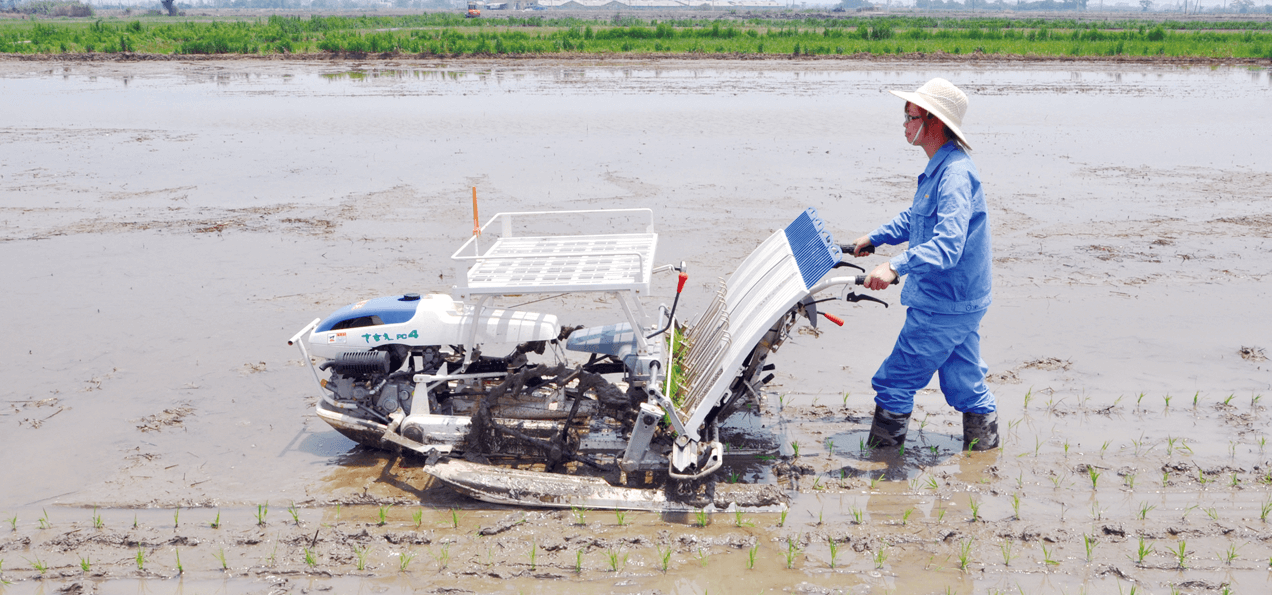 PC Series Hand Held Rice Transplanter-PC4 (4).png