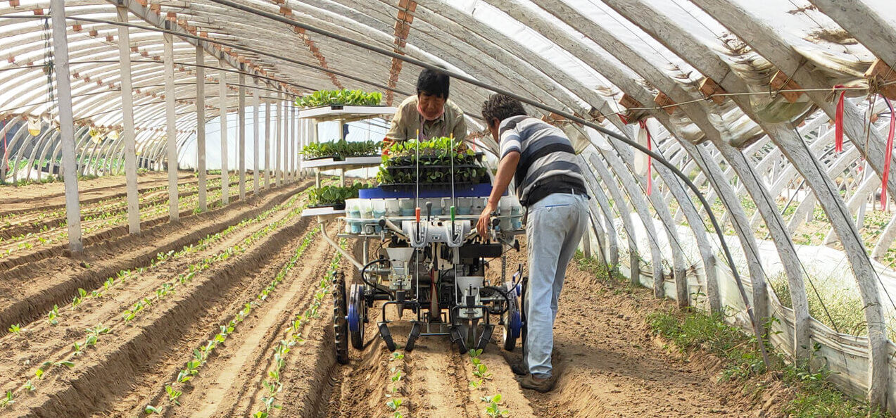 ISEKI-PVHR-Series-Riding-Type-Vegetable-Transplanting-Machine (9).png