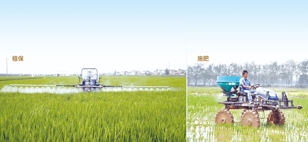 ISEKI JKB22C Paddy Field EPPO Machine (7).png