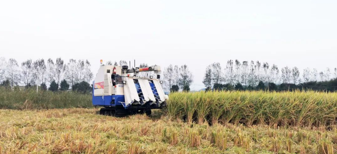 ISEKI HF608G Intelligent Half-feeding Harvester Is Operating In The Field (2).png