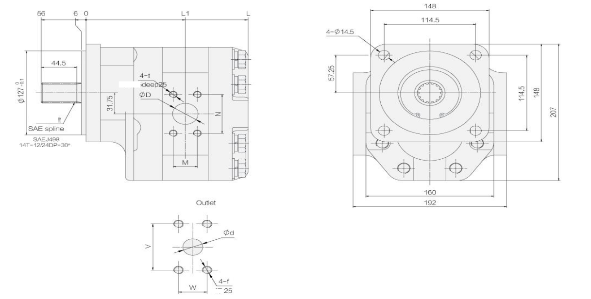 CBZTG3  GEAR PUMP .png