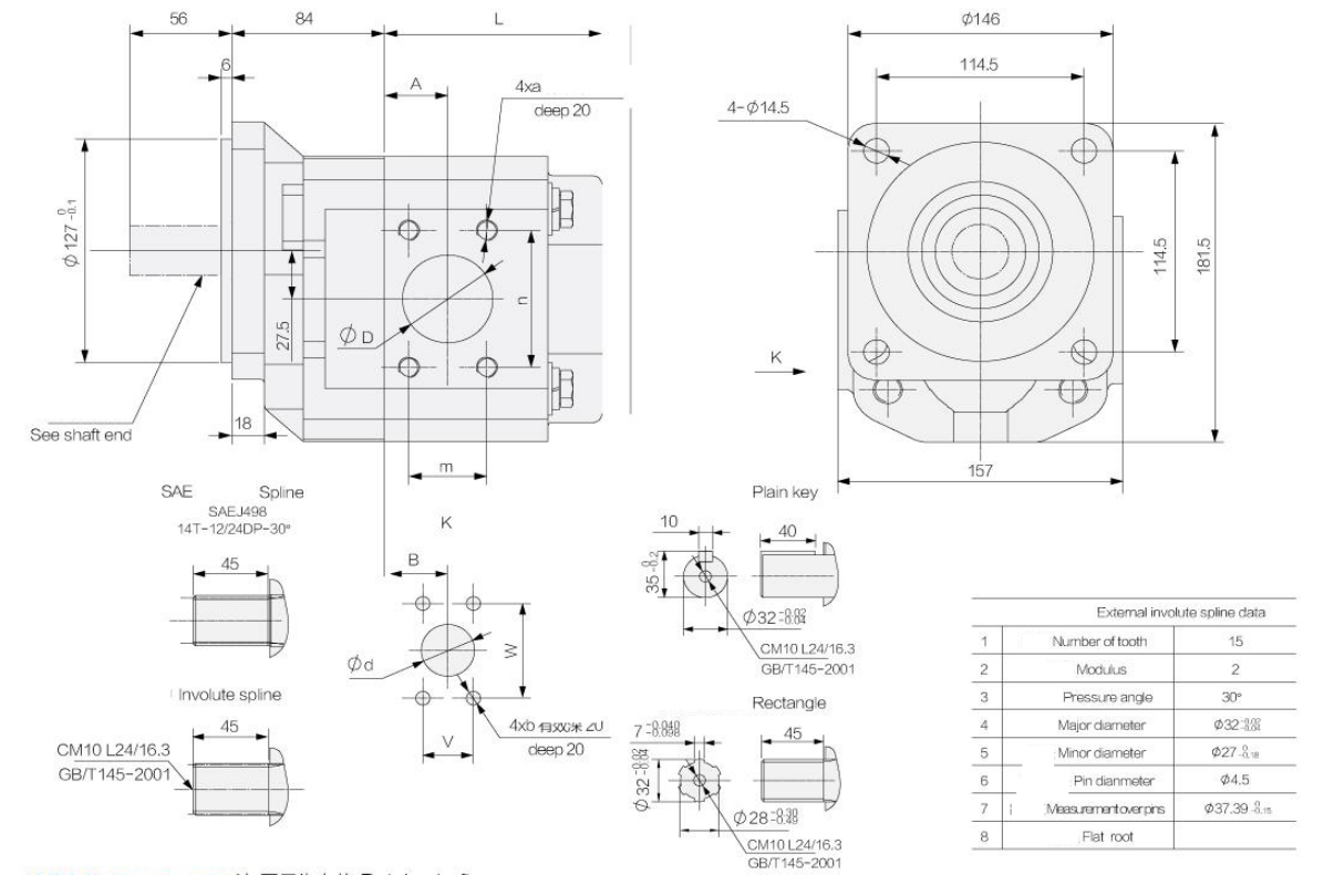 CBGTG  GEAR PUMP .png