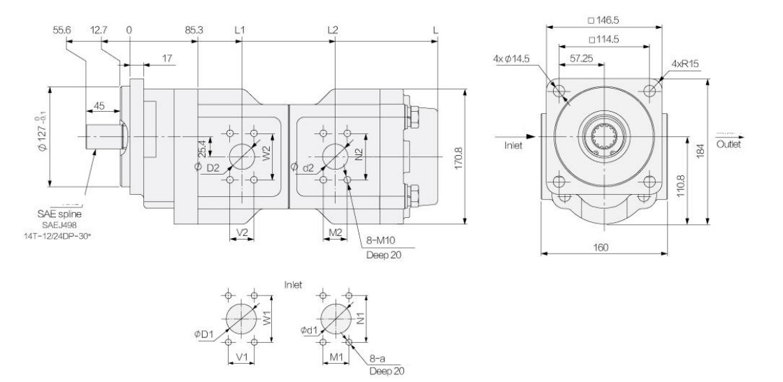 DOUBLE GEAR PUMP .png