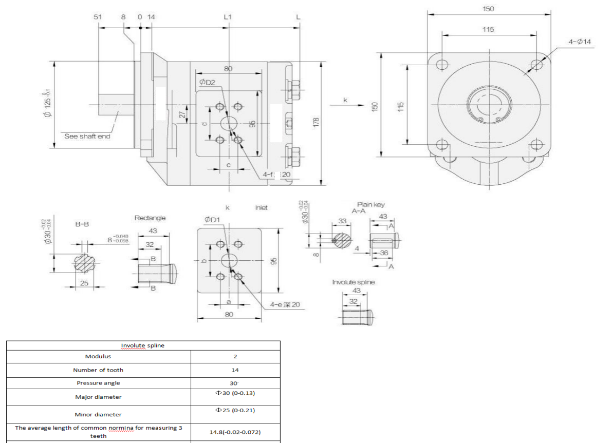 GEAR PUMP .png