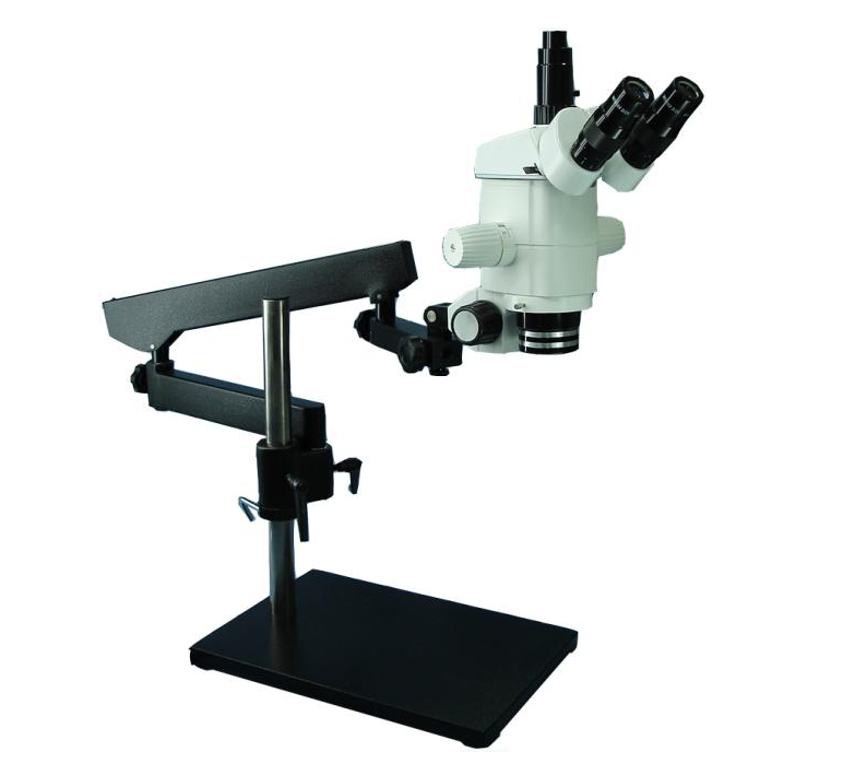 SM30+3612B SM Series Stereo Zoom Microscope.png
